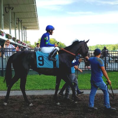 Jockey riding a thoroughbred onto the field at racetrack