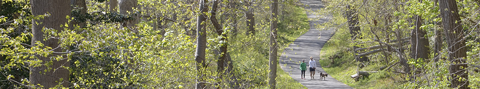 Couple on pathway thru Hartshorne Woods, Highlands, NJ