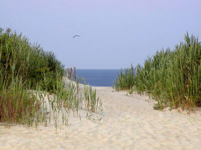 sandy path to the ocean beach