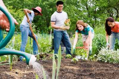 A group of young people gardening together 