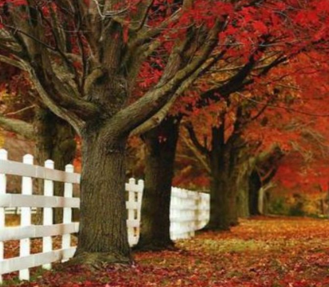 Holmdel