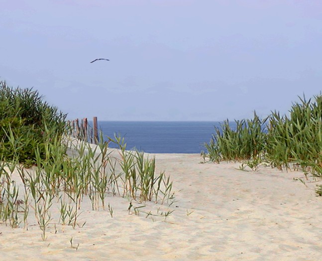 Long Branch